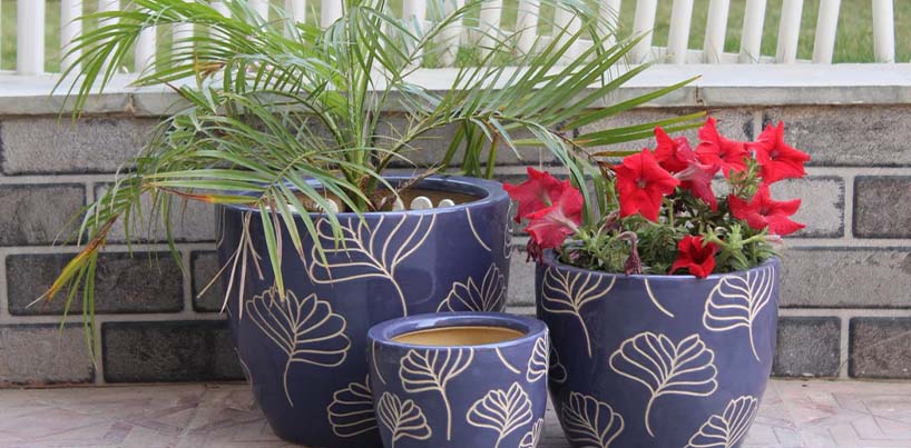 Ceramic Pots And Large Planters In Mumbai